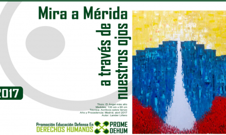 Promedheum: Informe Anual 2017 “Mira a Mérida a través de nuestros ojos”